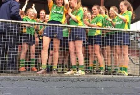 Craughwell Under 14s win the Division 2 County Championship